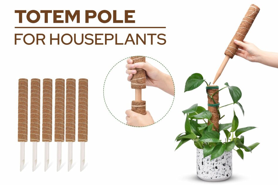 Totem pole for houseplants, trailing plants with totem pole, how to use plant totem pole