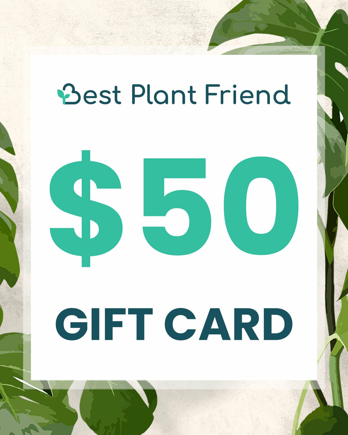 Best Plant Friend Gift Cards, Plants as Gifts