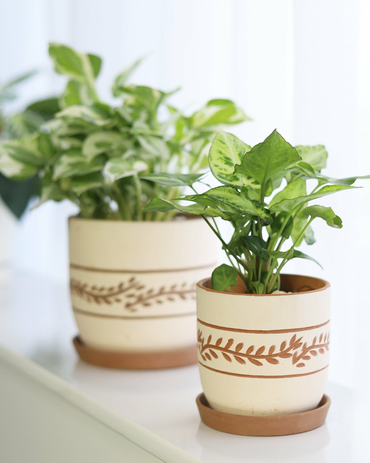 pothos terracotta pot White Clay Horizontal Leaf Pattern Planter - Terracotta Houseplant Pot for Sale