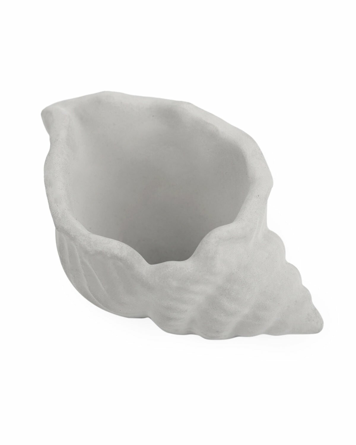 cement air plant holder, seashell air plant holder, Mini Air Plant Holder for sale, buy Cement Seashell Mini Air Plant Holder online, Mini Air Plant display ideas