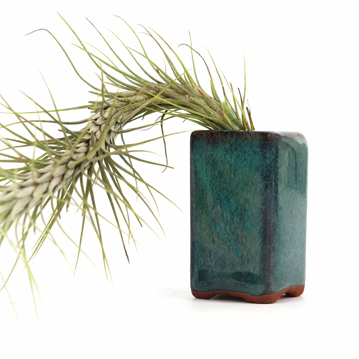 clay mini air plant pot, mini clay pot for air plant, small container for air plants and succulents, buy tiny pot for air plant online, air plant pot with drainage hole, retro-design clay pot, vintage clay pot for sale