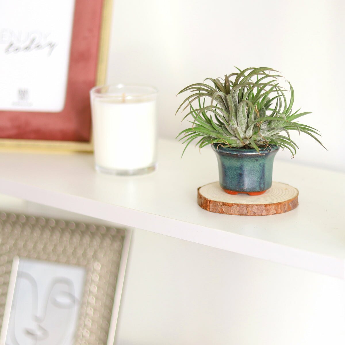 octagon clay mini air plant holder, retro-design air plant holder, buy air plant holder online, air plant pot for sale, octagon mini air plant holder