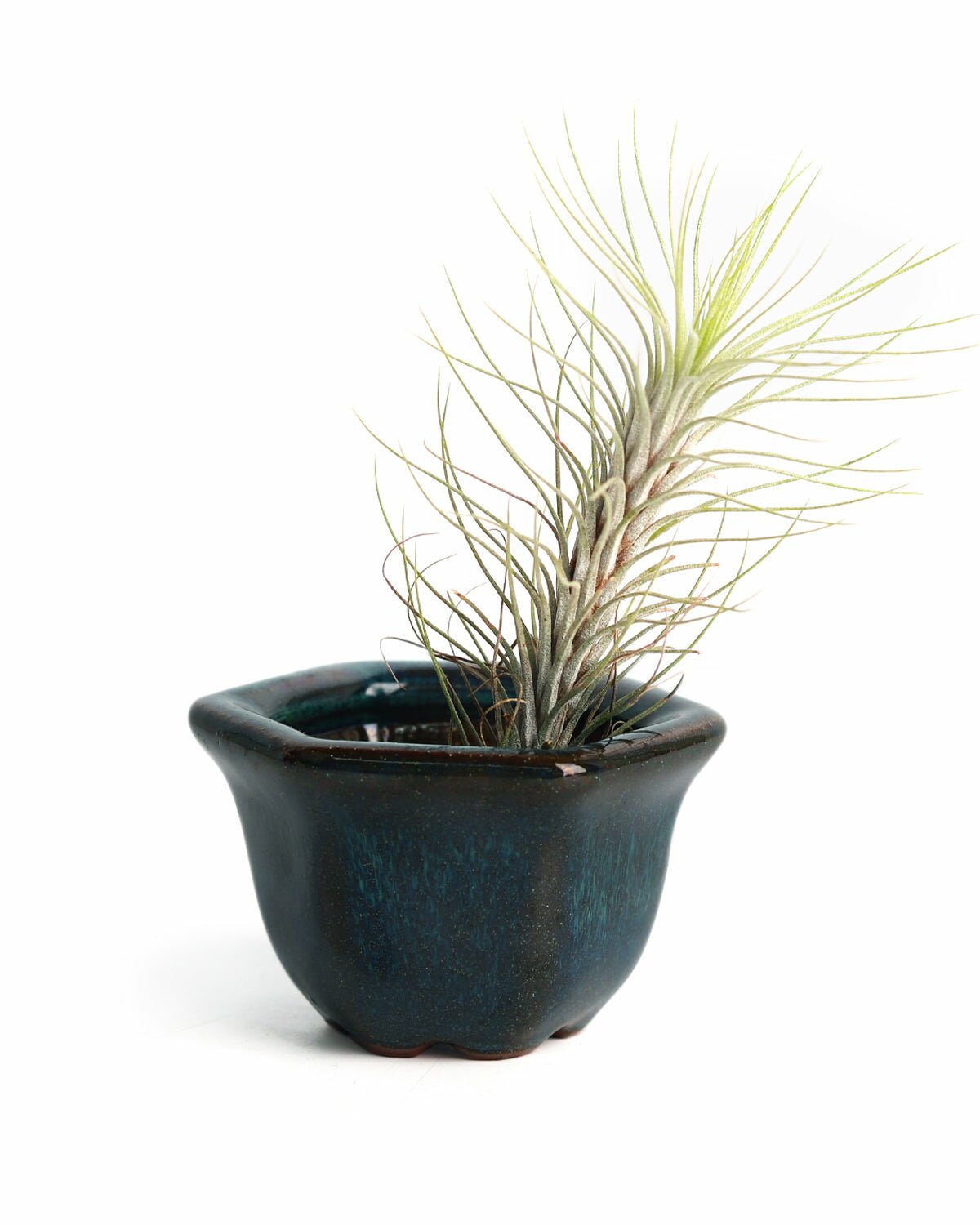 air plant pottery Retro Green Hexagon Glazed Clay Mini Air Plant Holder - Air Plant Pots