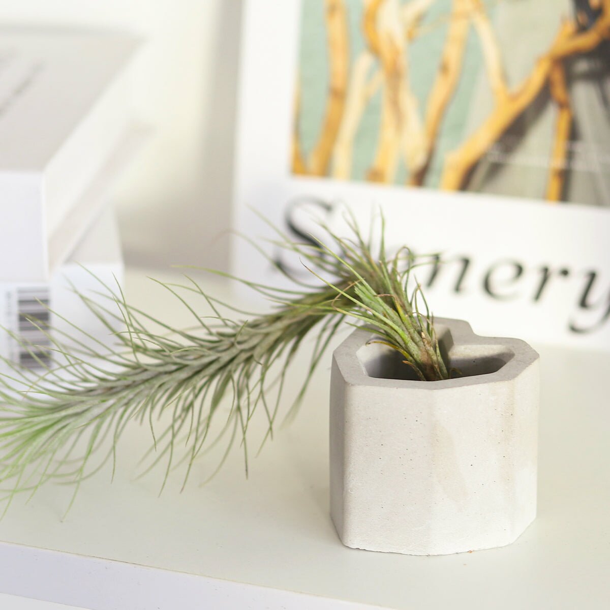 concrete air plant holder Heart-shaped Cement Mini Air Plant Holder - Geometric Air Plant Holder