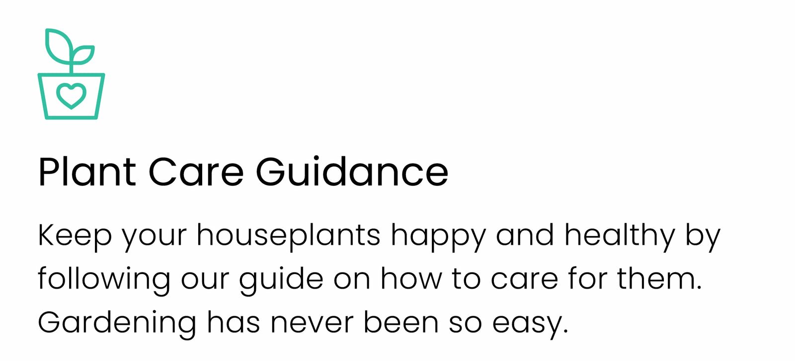 Best Plant Friend Houseplant Care - The Ultimate Guide to Happy & Healthy Indoor Plants