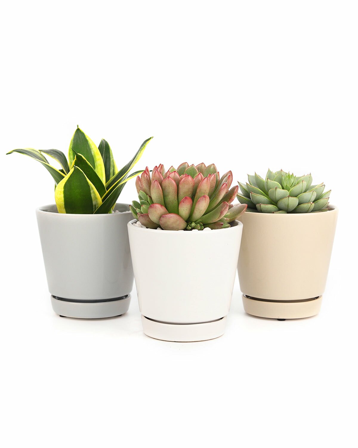 planter pack, planter in white, grey, and oatmeal color, modern planter for houseplants, minimalist planter with drainage hole and saucer