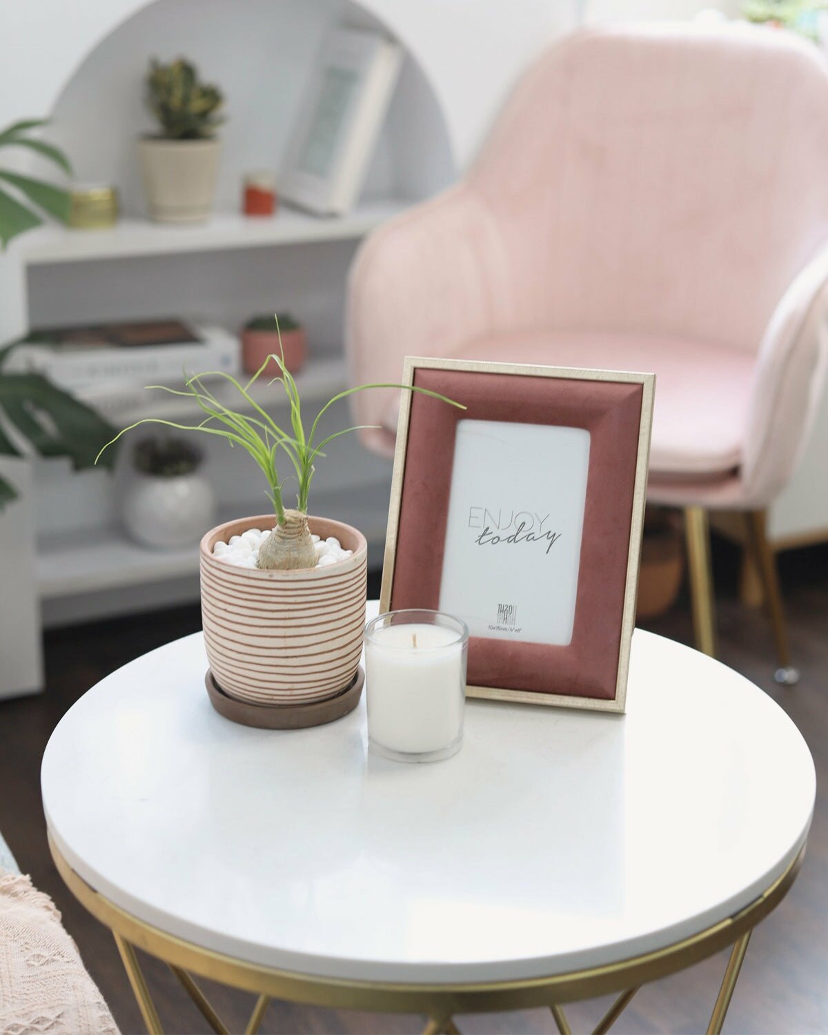 Beaucarnea recurvata, Ponytail Stump palm, easiest to care houseplant, succulent with palm-like foliage, compact desktop plant, easy plant for beginners and busy people, best houseplant gift ideas