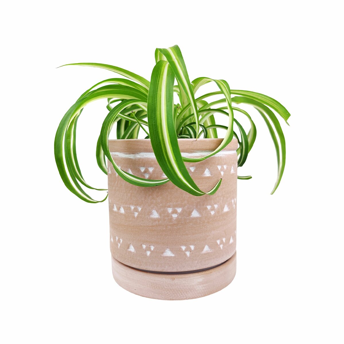 6" Decorative Triangle Geometric Ceramic Planter with Attached Saucer, 6" Triangle Pattern Flower Pot with Drainage Hole, 6 inch Cylindrical Terracotta Ceramic Pot with Coaster for Succulent and Houseplant, Ceramic Pottery Succulent Planter for Sale, 6 inch Round Terracotta Succulent Pot with Drainage Hole & Saucer