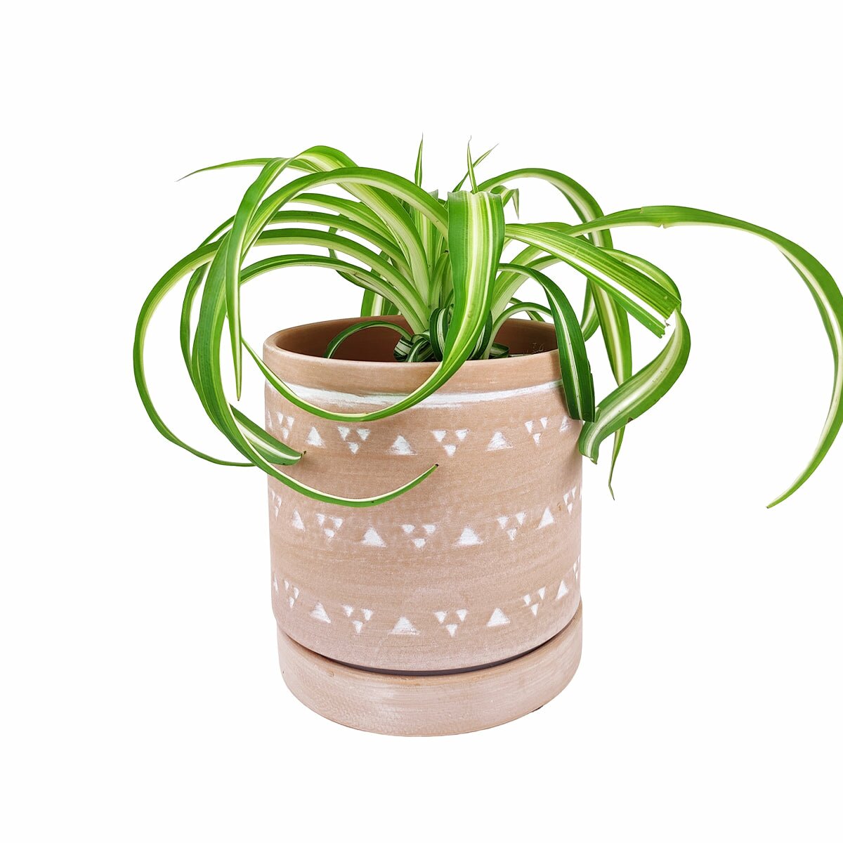 6" Decorative Triangle Geometric Ceramic Planter with Attached Saucer, 6" Triangle Pattern Flower Pot with Drainage Hole, 6 inch Cylindrical Terracotta Ceramic Pot with Coaster for Succulent and Houseplant, Ceramic Pottery Succulent Planter for Sale, 6 inch Round Terracotta Succulent Pot with Drainage Hole & Saucer