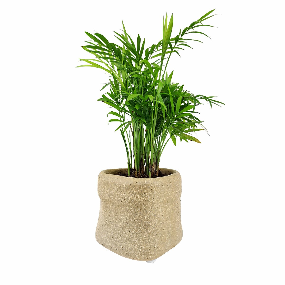4" Kraft Paper Bag Shape Ceramic Flower & Plant Pot, 4" Ceramic Kraft Paper Bag Houseplant Pot, Beige Ceramic Paper Bag Planter for Home Decor Ideas