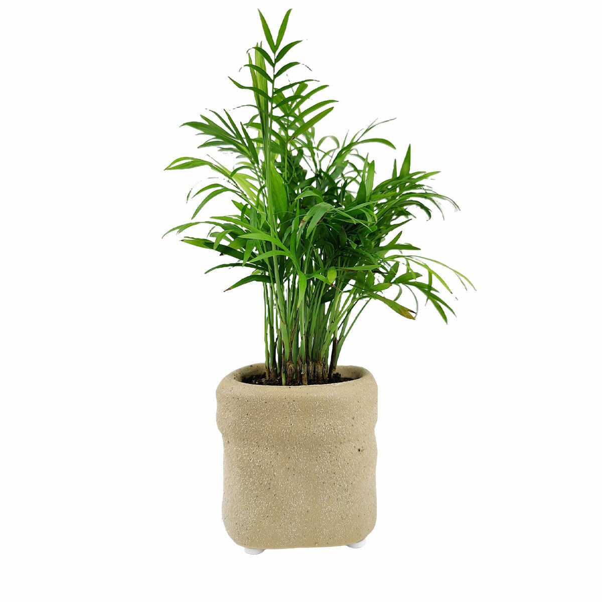 4" Kraft Paper Bag Shape Ceramic Flower & Plant Pot, 4" Ceramic Kraft Paper Bag Houseplant Pot, Beige Ceramic Paper Bag Planter for Home Decor Ideas