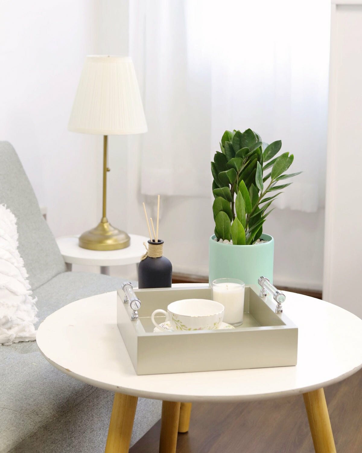 Zamioculcas Zamiifolia, ZZ Plant, low light houseplant, easy to care houseplant for beginner, buy ZZ plant online, ZZ plant for sale, air purifying houseplant, best houseplant for home office decoration, 4 inch houseplant for sale