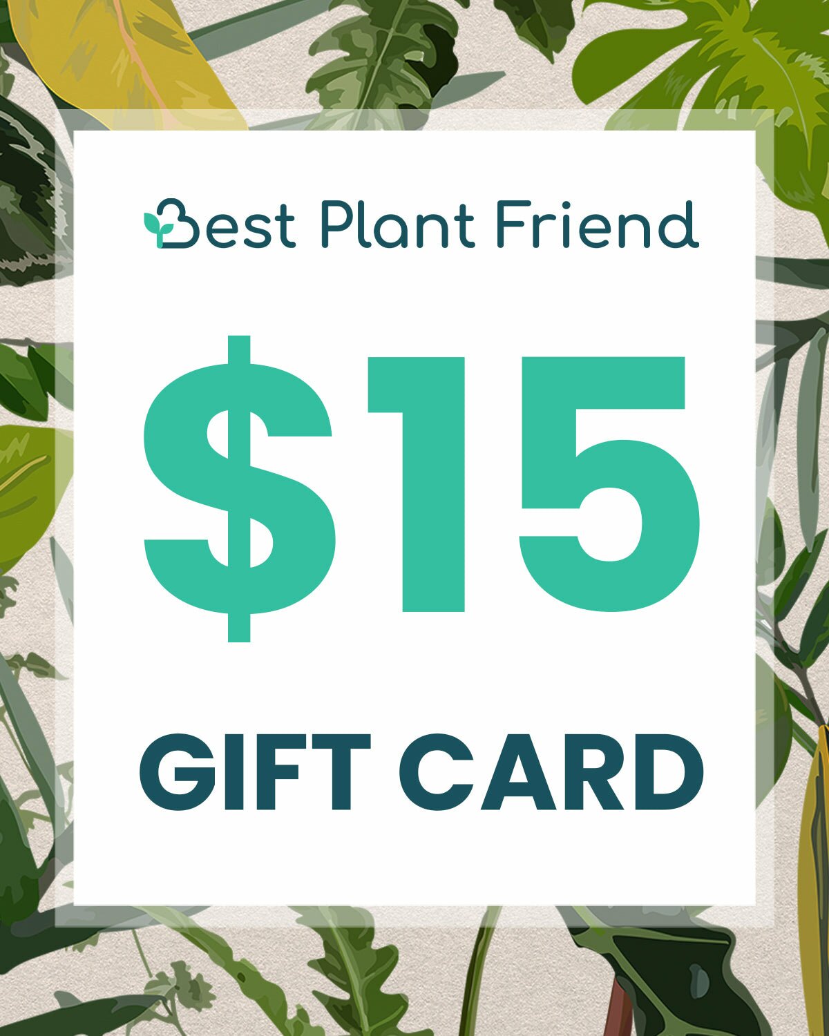 Buy houseplant gift card, Send a plant as a gift, egift card for plant lovers