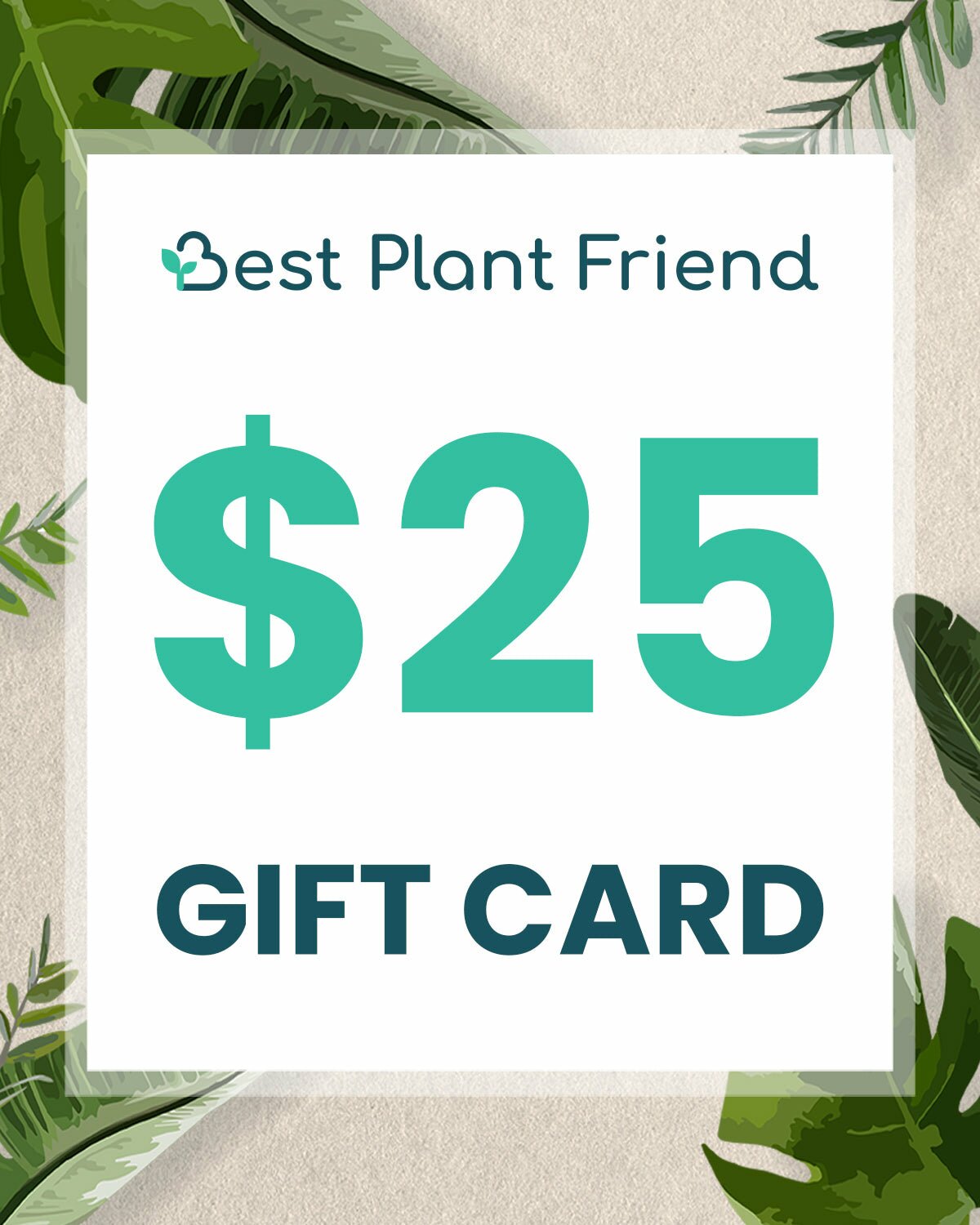 Buy houseplant gift card, Send a plant as a gift, egift card for plant lovers