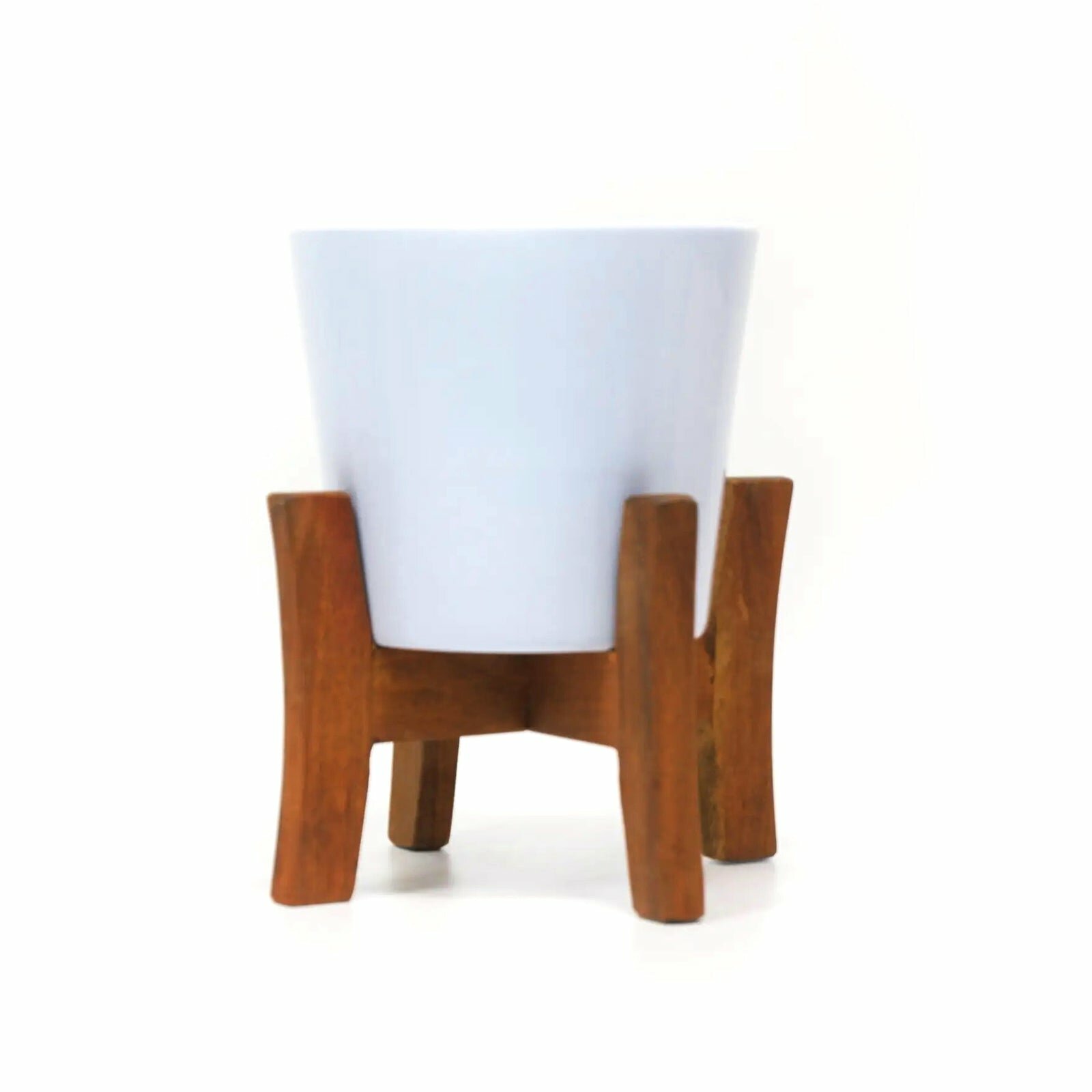 White Ceramic Planter with Wooden Stand, Image of a parlor palm plant in a white pot, Potted Chamaedorea elegans palm plant on a wooden stand, Green and yellow palm plant in a white pot