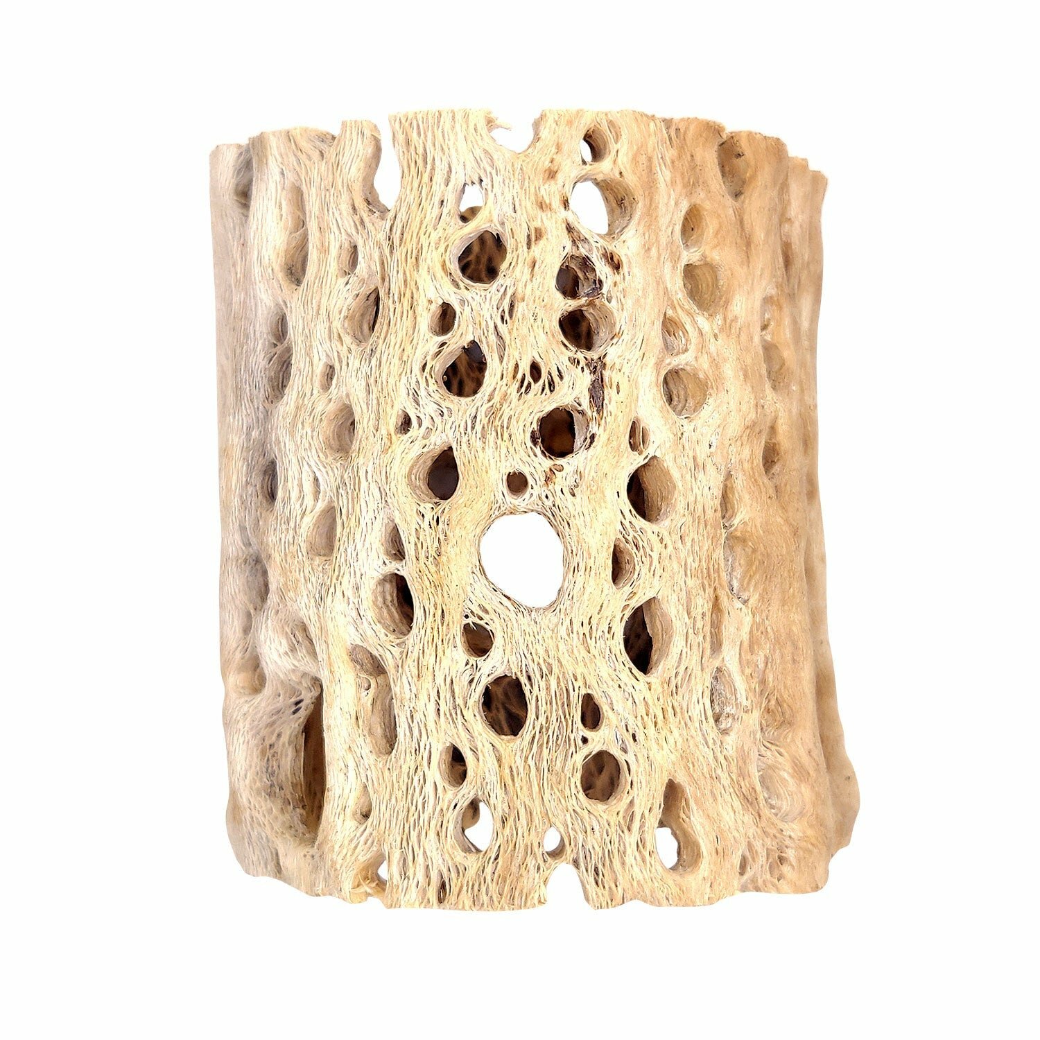 Rare chain Cholla Wood 3 inch Planter