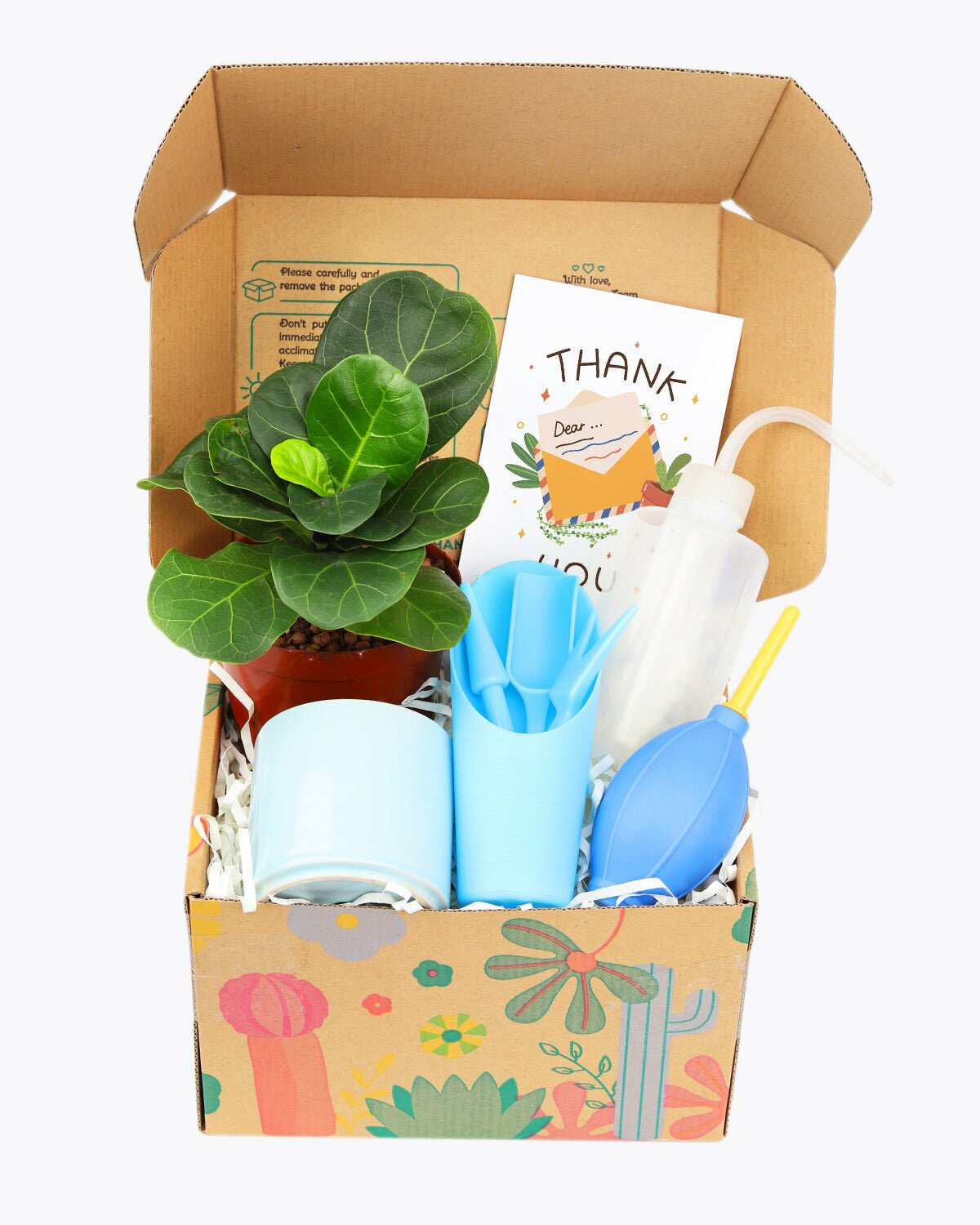 Houseplant Beginner Kit Gift Box, Houseplant Beginner Kit Gift Box for sale, houseplant gift box, houseplant gift box for beginner, gift box for plant lover, houseplant tool kit, houseplant tool set
