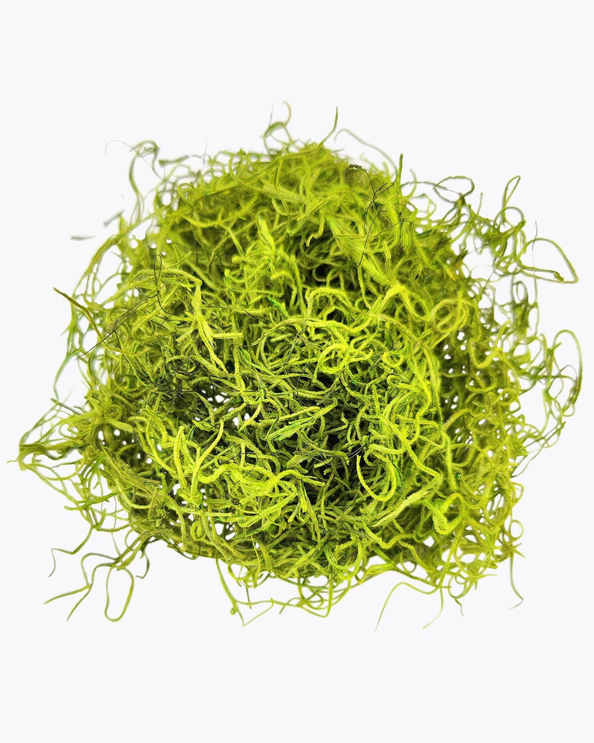 Green Preserved Spanish Moss makes excellent decorative soil covers for potted plant