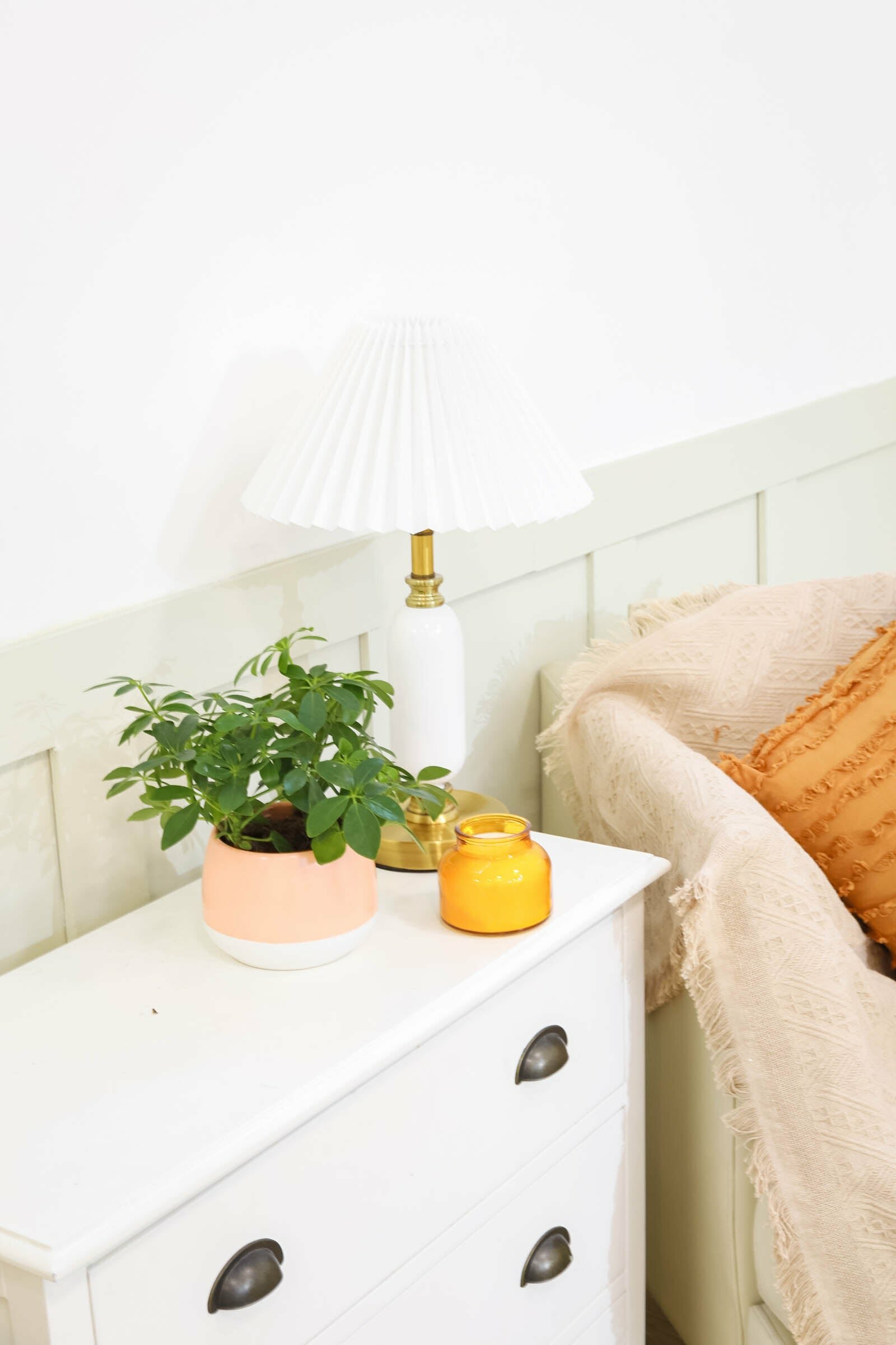 medium to bright light houseplant, Schefflera Arboricola houseplant, best indoor plant for home and office decoration, Dwarf Umbrella Tree