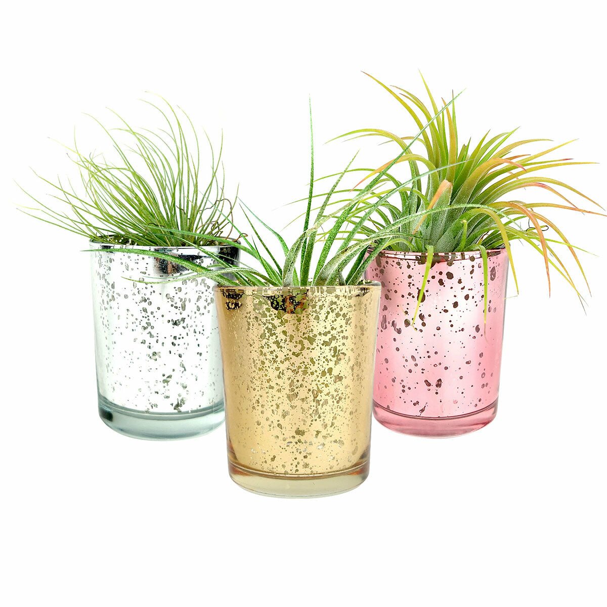 Mini Sparkly Pot for Air Plant, Air plant pots for sale, air plant accessories for sale, air plant gift decor ideas