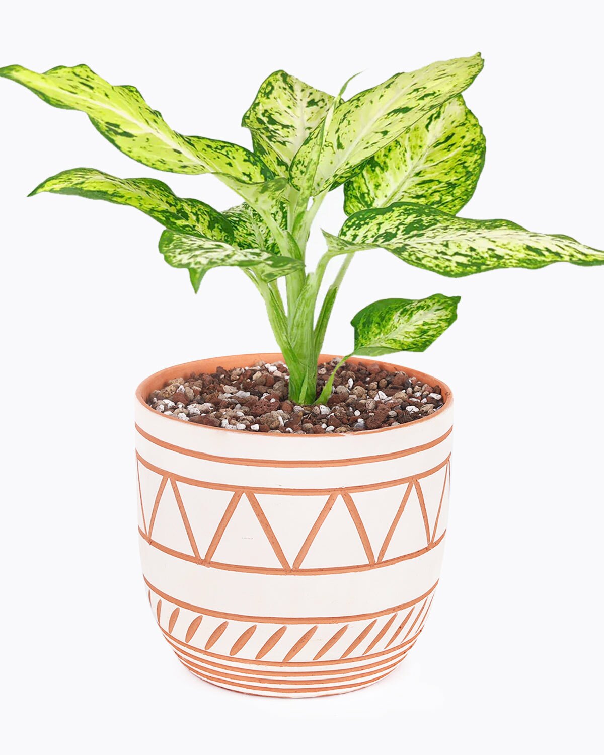 5.5 inch White - Clay Color Geometric Pattern Planter, planter for houseplant, terracotta planter for houseplant, planter for houseplant, large planter for houseplant