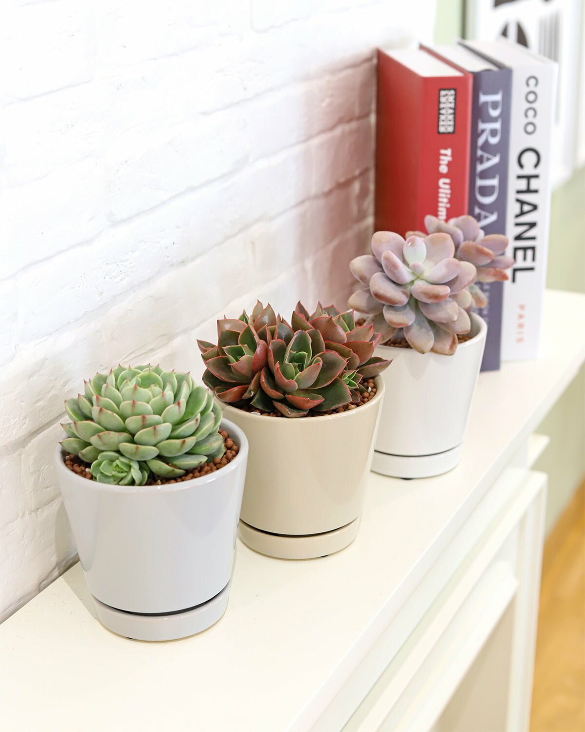 large white ceramic indoor planter Pack of 3 Minimalist Ceramic Planters (White, Gray and Oatmeal)