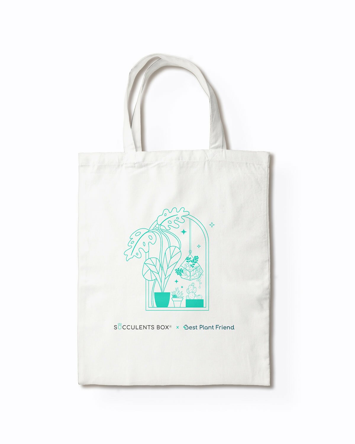 canvas tote bag, eco-friendly bag, everyday life tote bag, reusable canvas bag, eco-friendly gift ideas, gifts for holiday and new year, succulent and houseplant tote bag