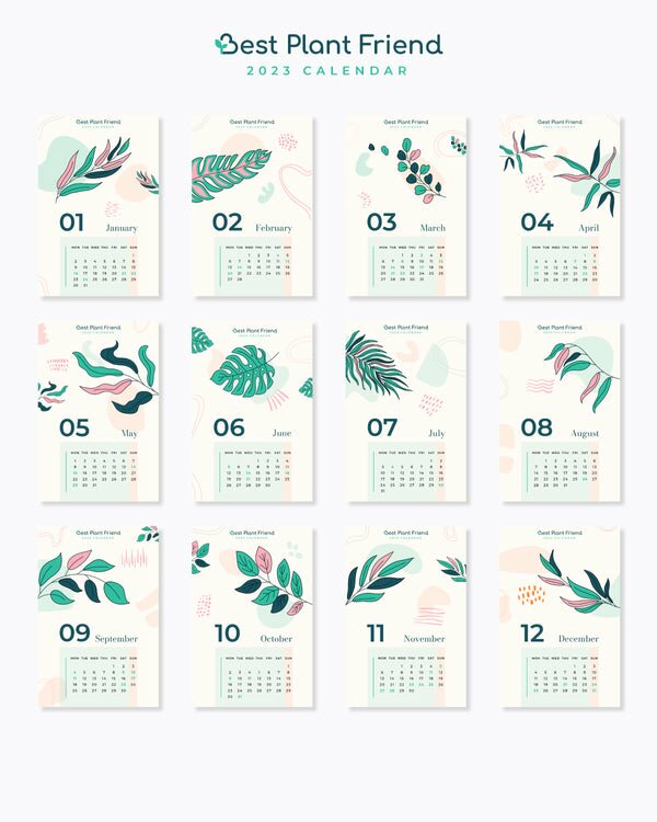 Free Printable: 2023 Calendar in Houseplant Theme - Best Plant Friend