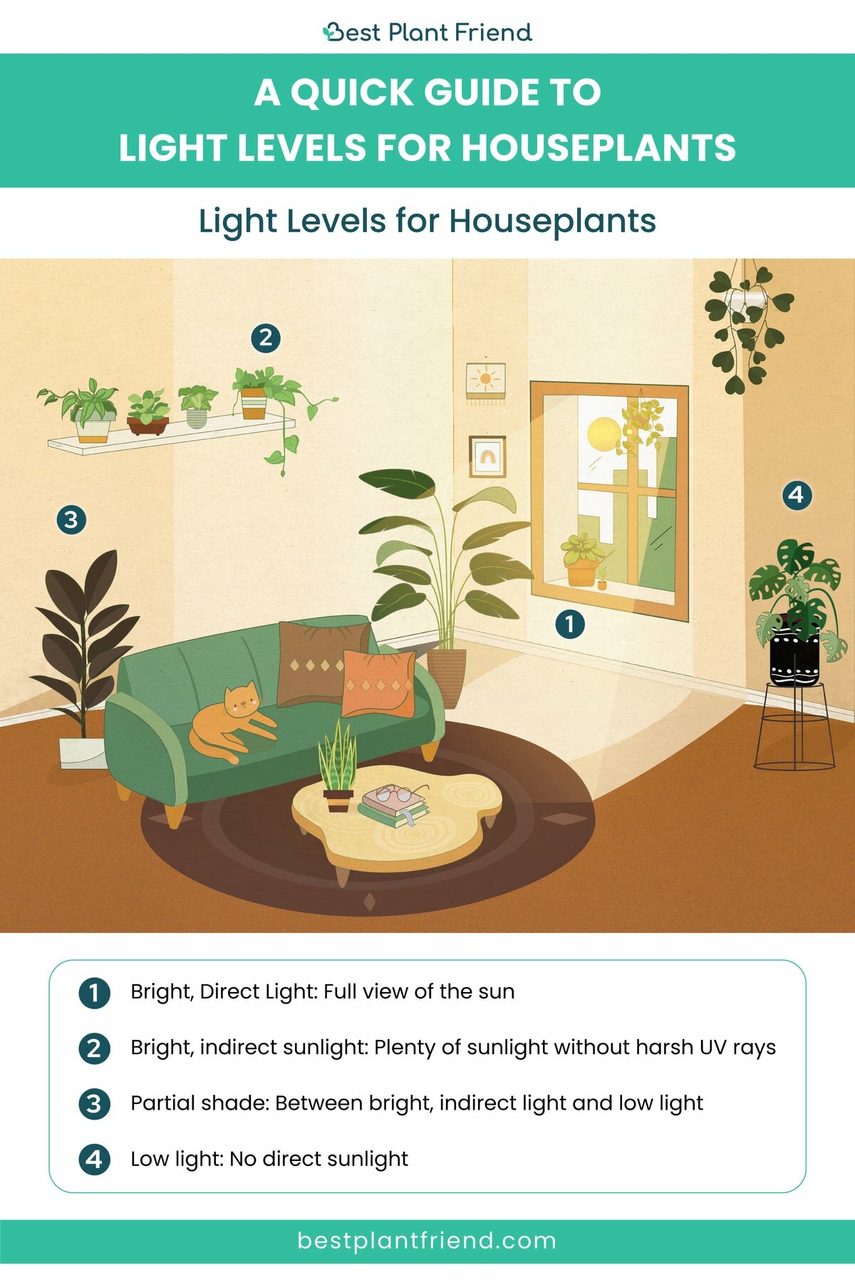 indoor plants for indirect sunlight Light Levels for Houseplants - Houseplant Care Card for Gift Ideas